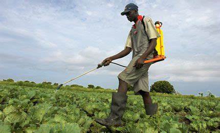 Agrochemical Loans